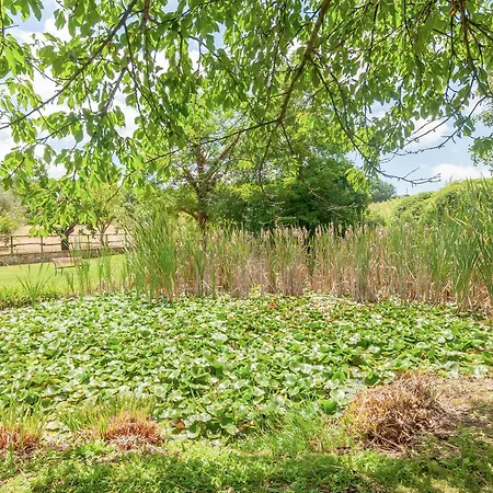 Molinuzzo - Lisa Bauernhof San Donato in Poggio